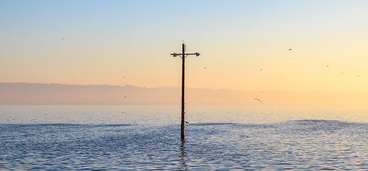 Is Your Company Prepared To Deal With Climate-Related Risks and Financial Disclosures?