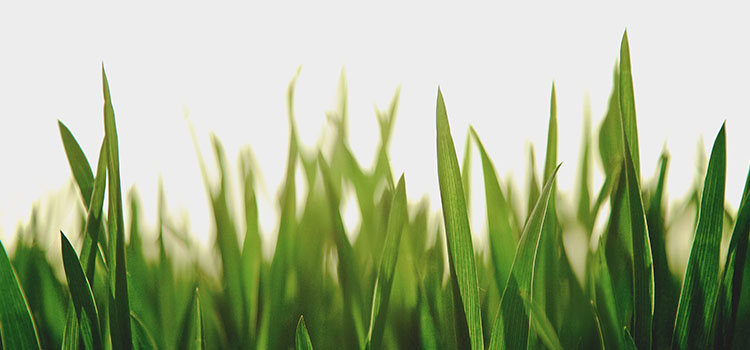DEP Amends New Jersey Site Remediation Rules