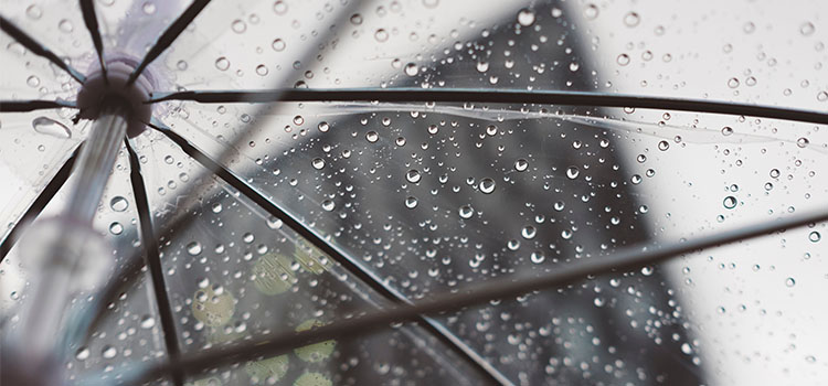 Will Your New Jersey Business Soon Be Charged a Rain Tax?
