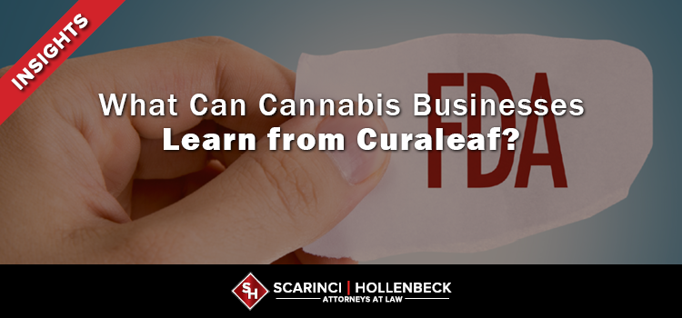 What Can Cannabis Businesses Learn from Curaleaf?